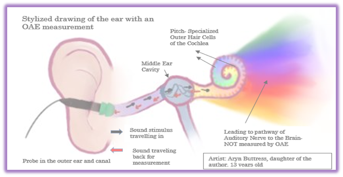 Otoacoustic Emissions Test and drawing of the ear pathway, including outer, middle and inner ear (cochlea)